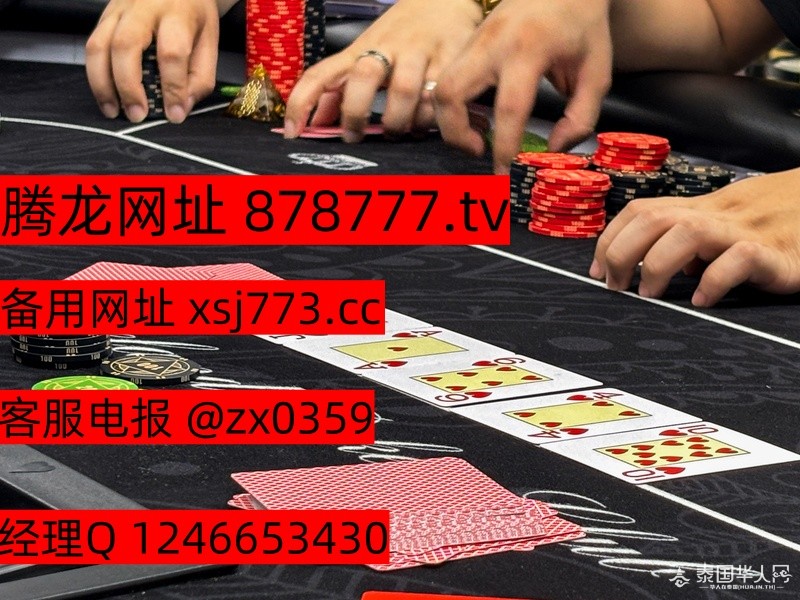20250113221854-09d60a0bf0e3b60b55a2aa422a0a8ec7-mobile_副本.jpg