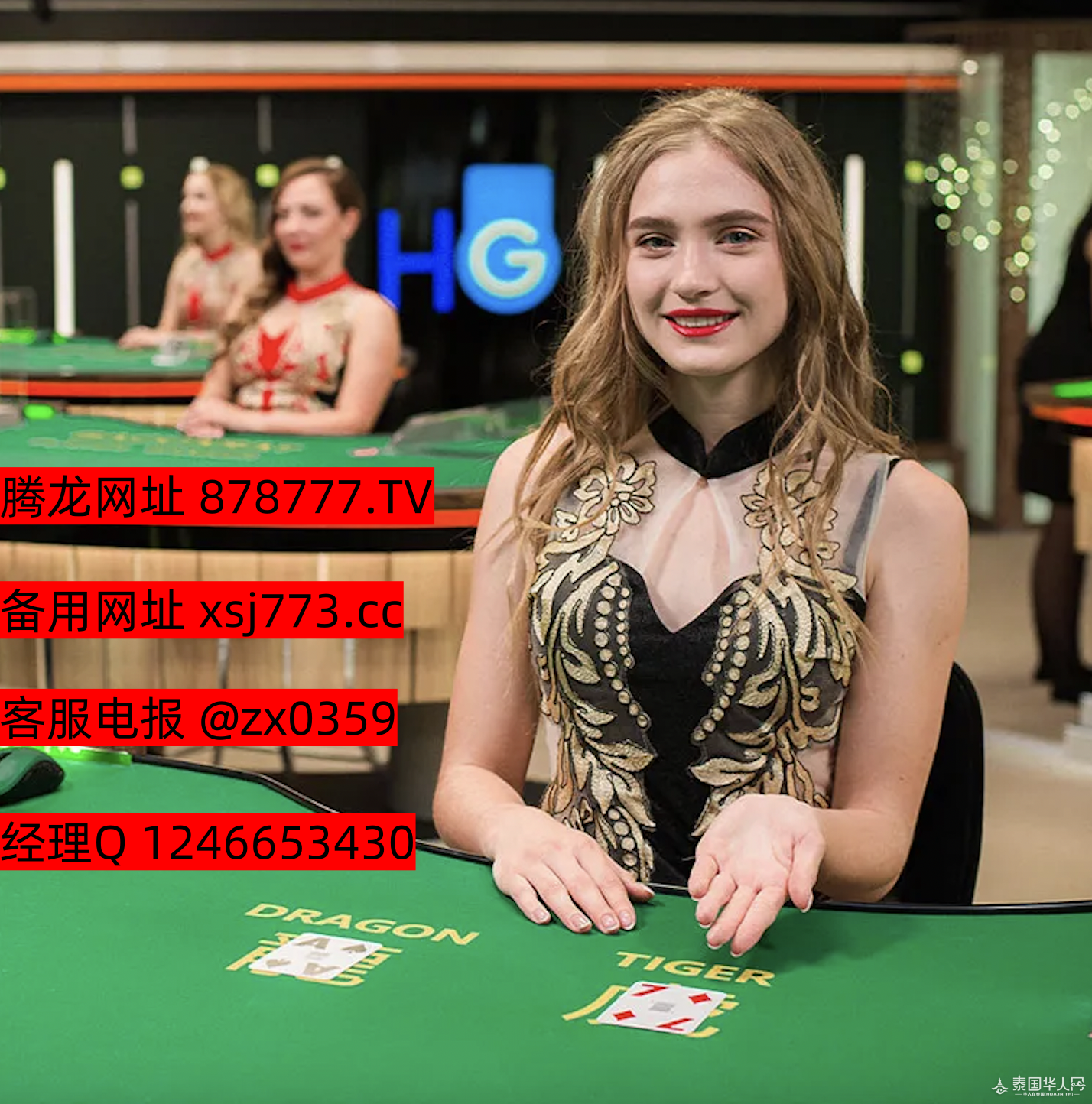 the-live-casino-2-game-from-ho-gaming_副本.png
