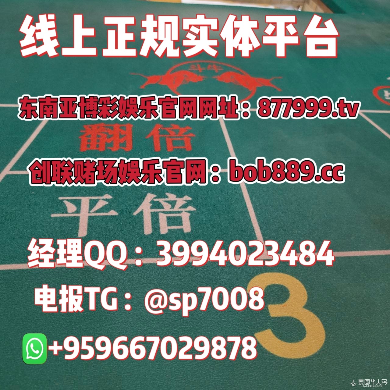 MEITU_20250828_224125289.jpg