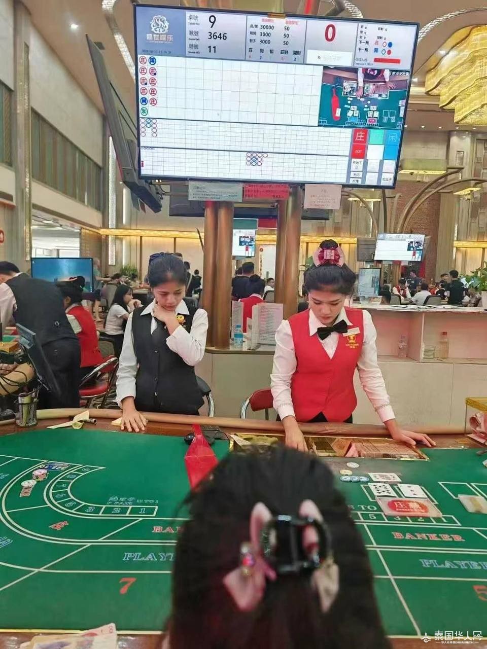 荷官真人在线发牌