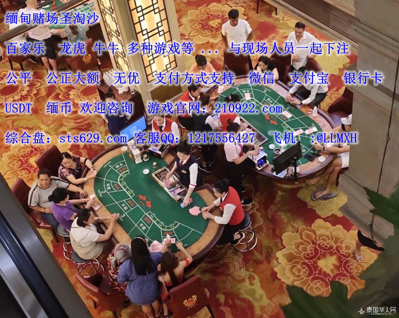 photo_2025-10-12_13-39-55 (2)_副本.jpg