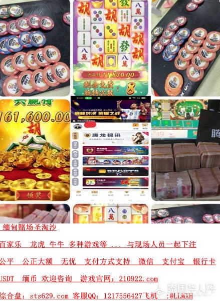 photo_2025-10-17_17-23-17 (3)_副本.jpg