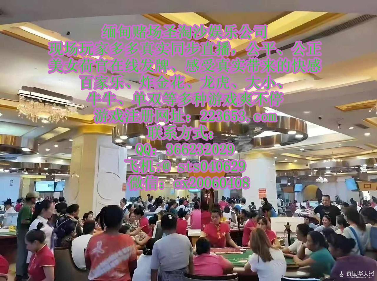 photo_2025-05-16_21-51-30 (2)_副本.jpg