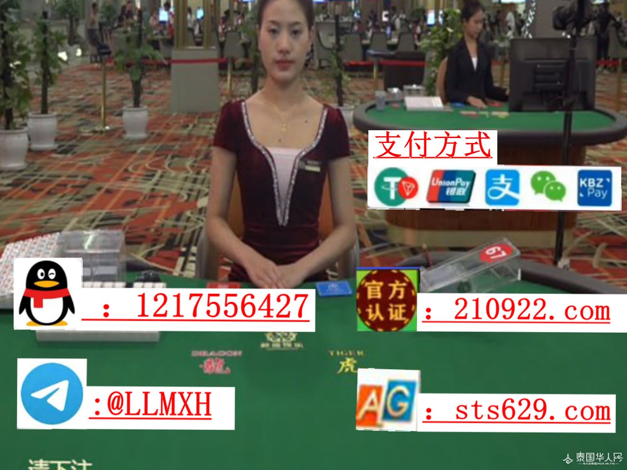 photo_2025-10-12_13-47-35 (4)_副本.jpg