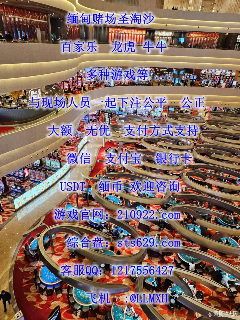 photo_2025-11-04_14-33-09 (2)_副本.jpg