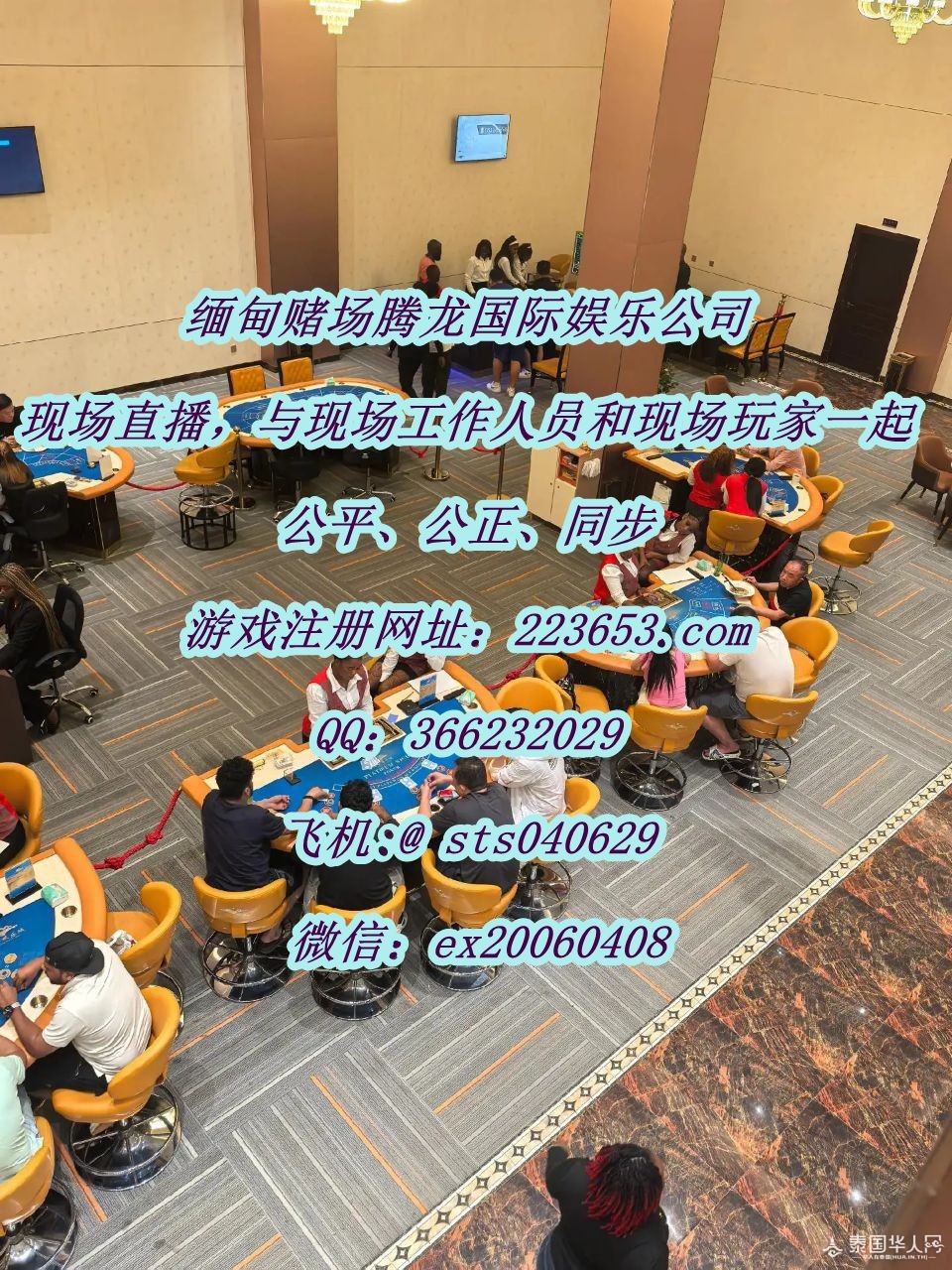 photo_2025-10-14_16-52-33 (2)_副本.jpg