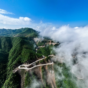 一条路，串起大别山老区“红”与“绿”