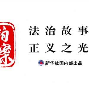 拍案·民法“典”亮生活|虚拟世界的另一个“你”，民法典如何守护？ ...