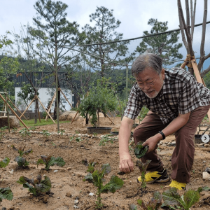 文在寅晒养老生活：下地采摘生菜 猫狗相伴胡子全白