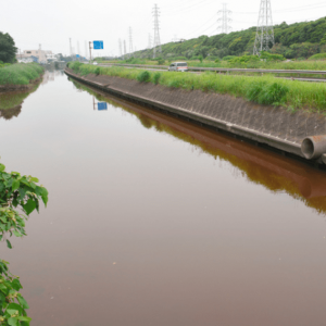 日本制铁公司泄漏3000立方米脱硫液：附近河水赤红 鱼类死亡(图) ...