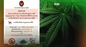 驻韩使馆：泰国公民禁止携带或进口大麻，违者或将被终身监禁