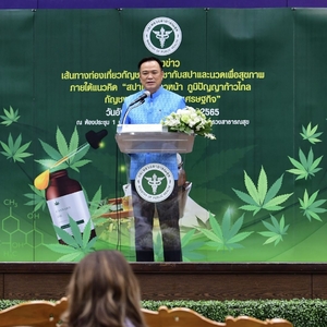 泰卫生部支持推广大麻水疗按摩服务，将在曼谷、清迈等地试点 ...