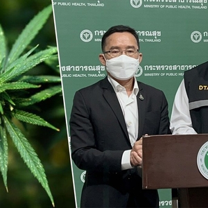 内部尚未统一需商议细节 泰公共卫生部紧急召回涉大麻违法行为逮捕令 ...