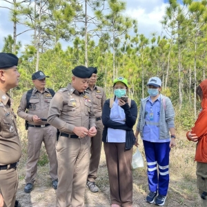 泰东北热门景点浦卡登园区野象出没伤人，致一人死亡