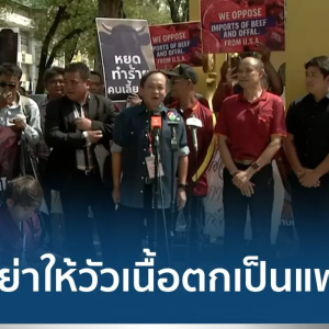泰国养牛户集体反对进口美国牛肉！