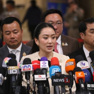 佩通坦笑谈“换总理”传闻：先别急腻，真要换记得通知我