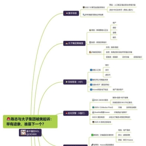 38岁福建人陈志如何搭建横跨30国的百亿黑产帝国