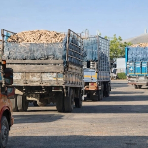 边境冲突风险,农民卖作物紧急现金