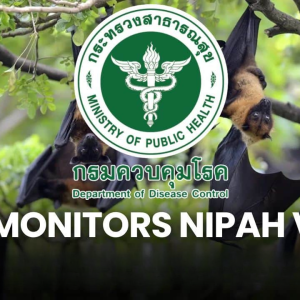 泰国疾控部门呼吁:警惕尼帕病毒！